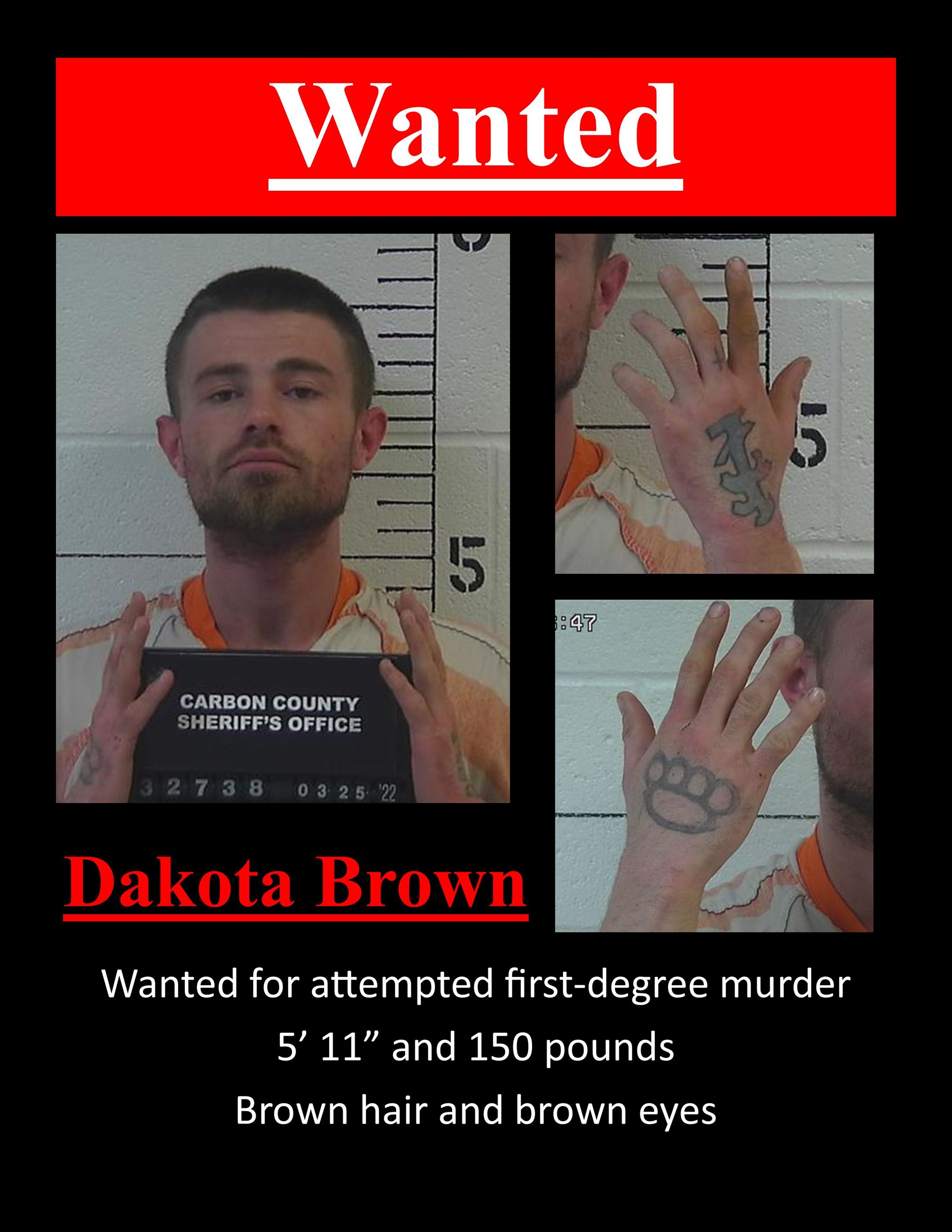 Dakota Brown - wanted