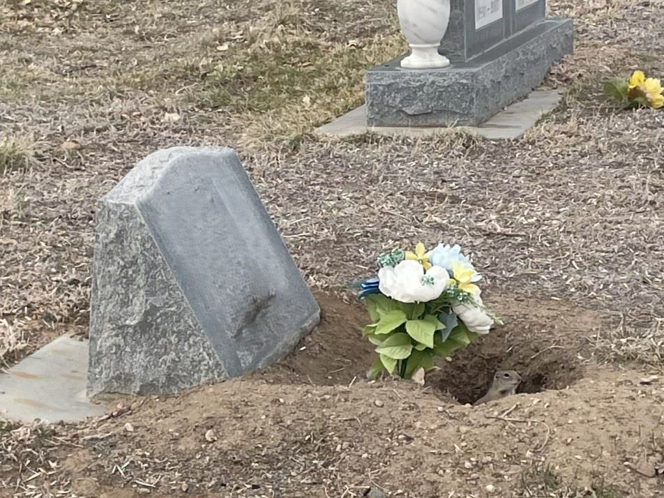 Cemetery Photo 1 2025