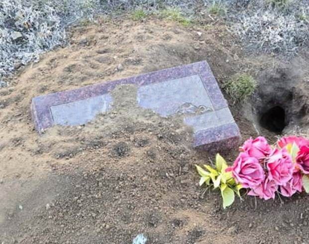 Cemetery Photo 2 2025